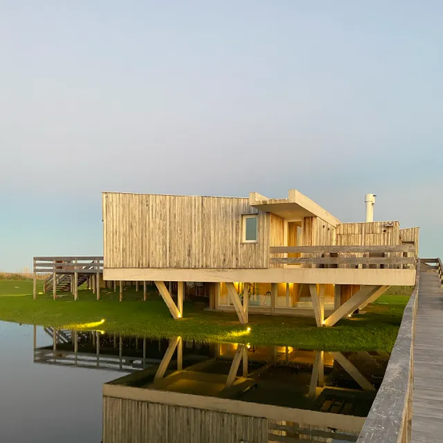 Lobos de Mar Chacra Marítima