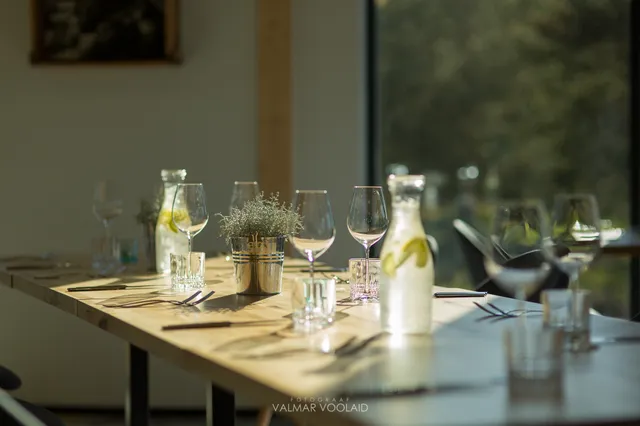 Tulivee restoran (Trogar OÜ)