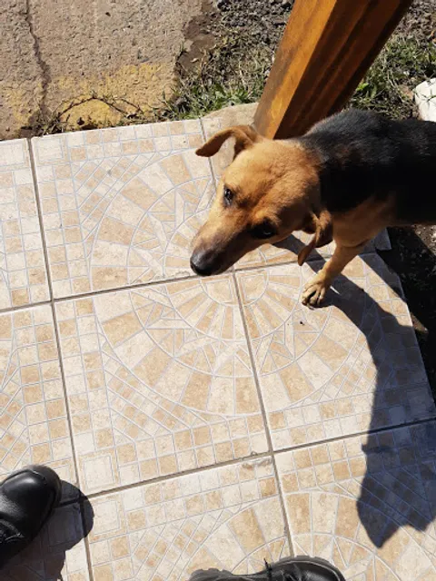 Bar Restaurante Do Paulinho