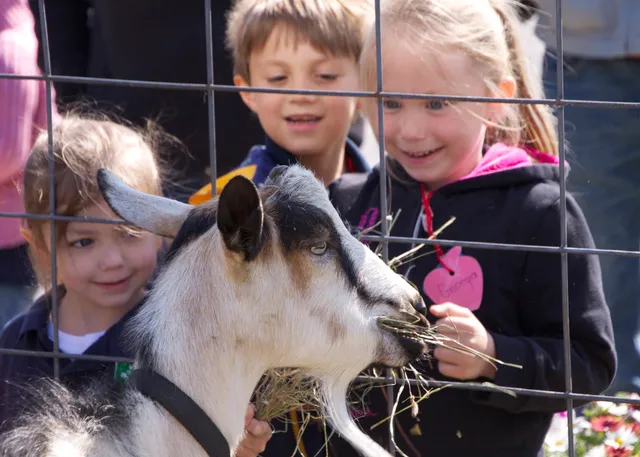 Zeeland Charter Township