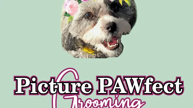 Picture PAWfect