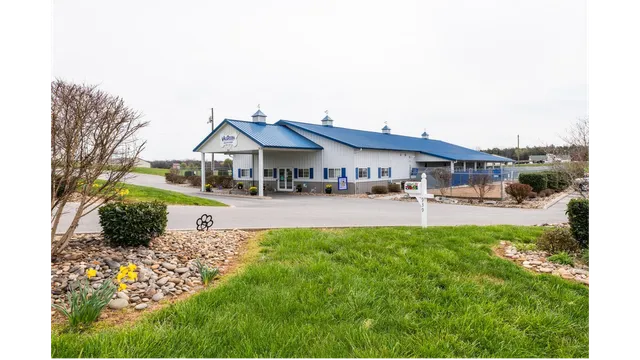 AllDogs Canine Care Center