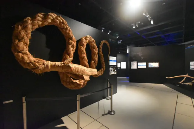 国立民族学博物館 特別展示館