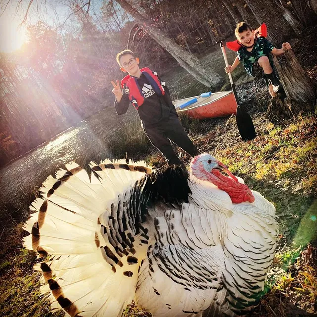 Hidden Pasture Unicorn Farm