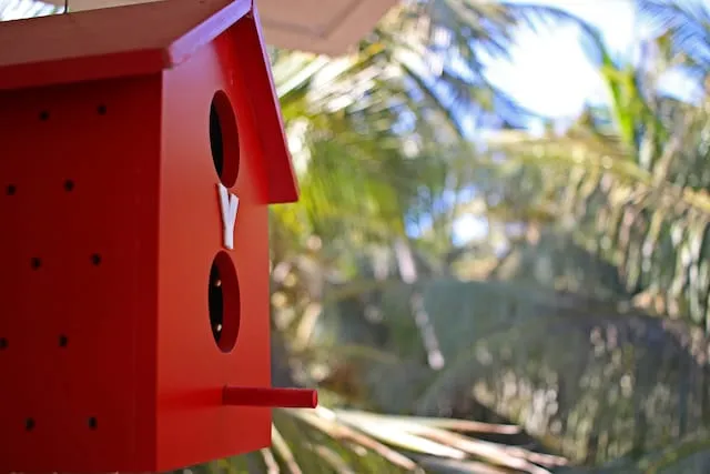 OYO 24906 Dazzling Stay Calangute