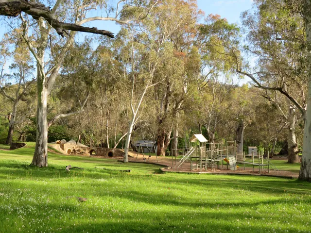 Adventure Playground