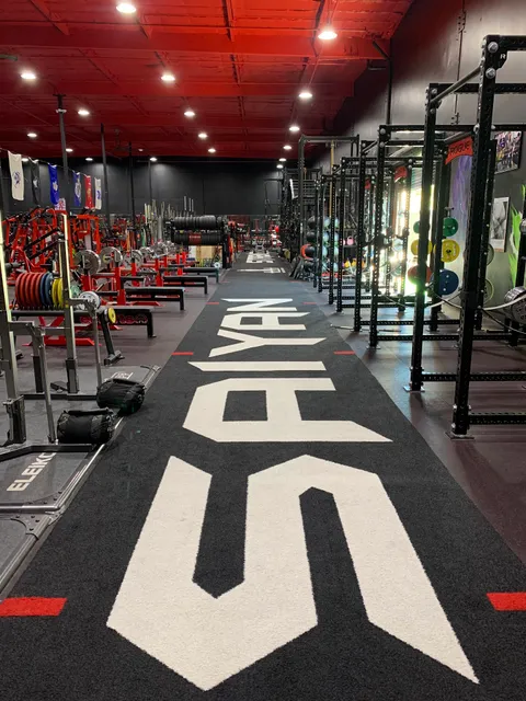 Saiyan Strength Gym - BY APPOINTMENT ONLY