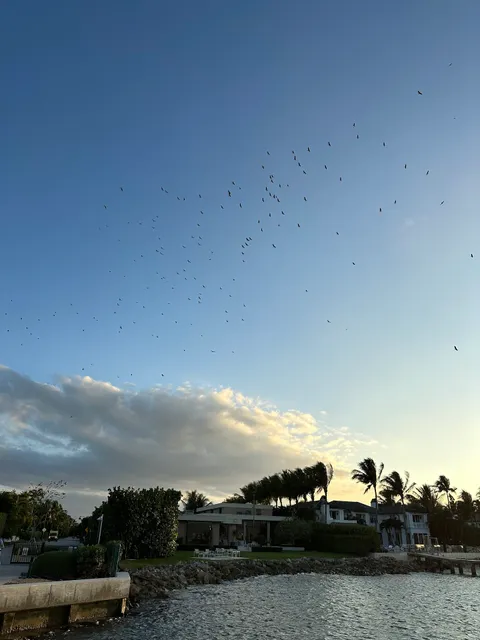 Palm Beach Inlet Pier (AKA Annie's Dock)