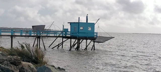 Gîte de la salamandre