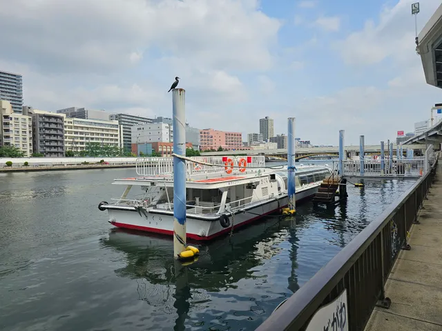 Tokyo waterfront line Ryogoku Landing Fields