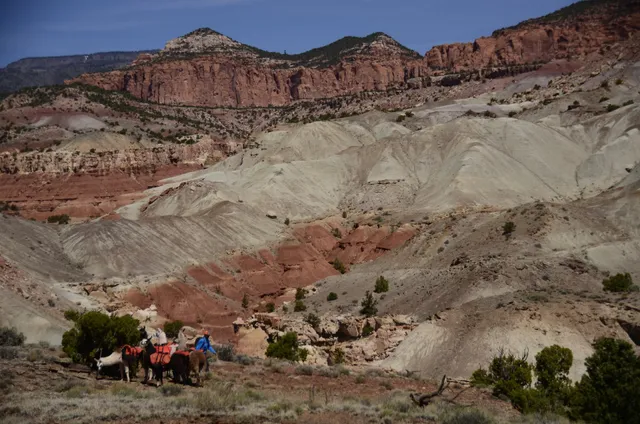 Wilderness Ridge Adventures