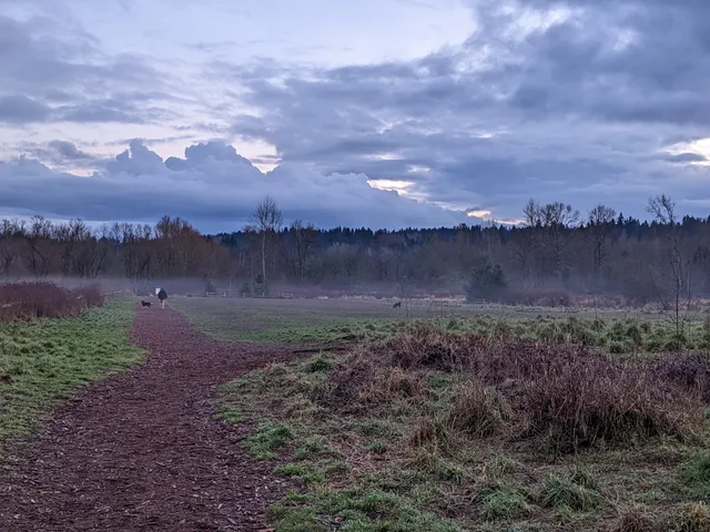 Marymoor Off-Leash Dog Park
