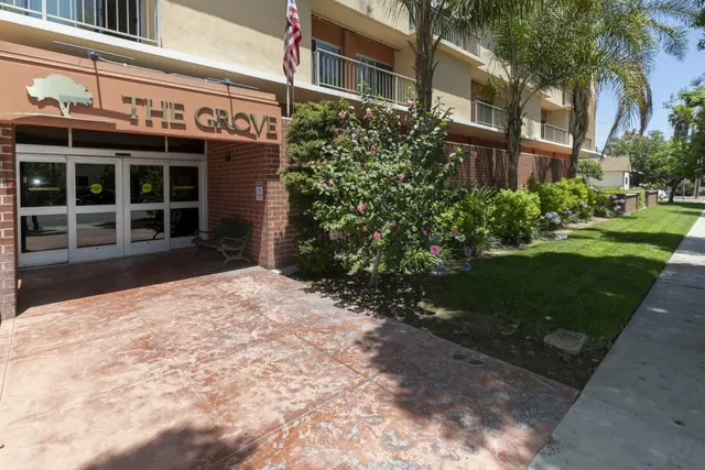 The Grove Care and Wellness