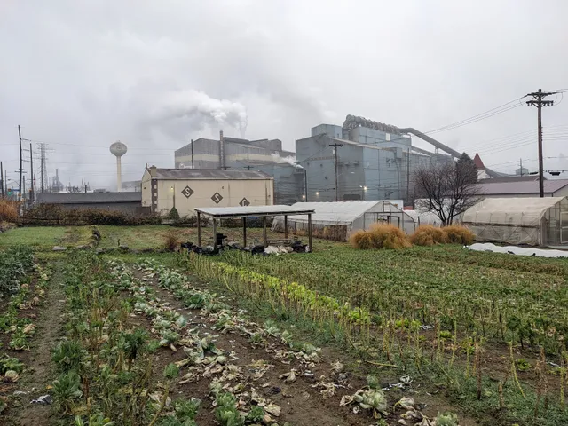 Braddock Farms - Grow Pittsburgh