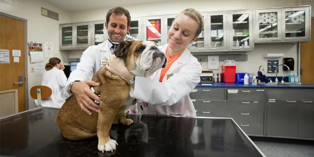 Purdue University Small Animal Hospital