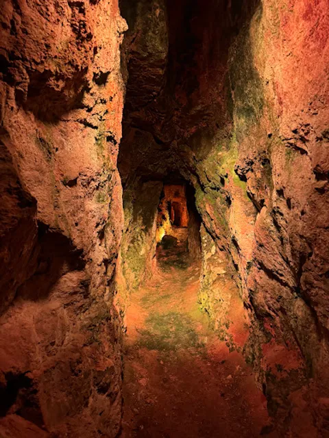 Caves de roquefort societe