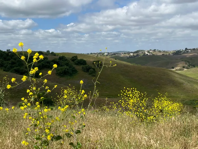 Grand Avenue Park Trailhead