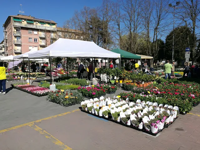 Forno Palladino via Matteotti 78