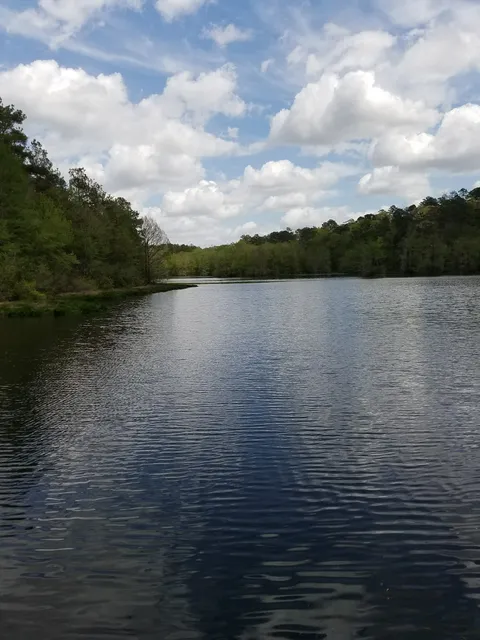 Cypress Cove Nature Park