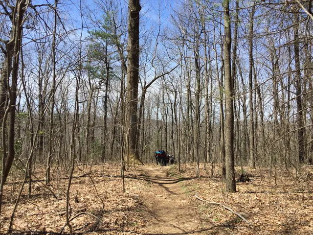 Hightower Gap - Appalachian Trail