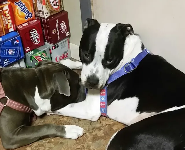 Galaxy Lighting Supply