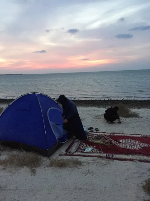 Sir bani yas ferry beach