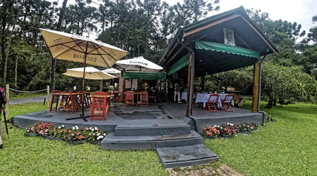 Dona Chica na Floresta