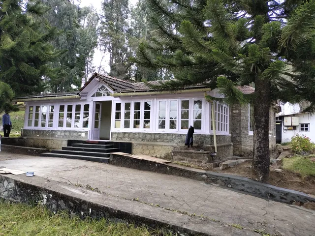 Western Gatz Dale Thorpe homestay