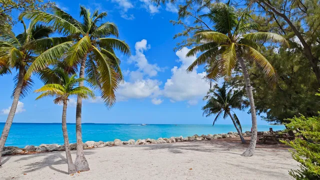 Edge of The Key West