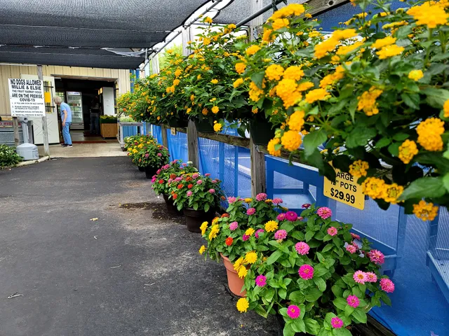 South Main St Fruit Market