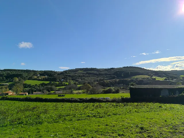 T. Camino De Santiago