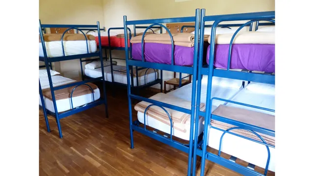 AMAZON GREEN ECOLODGE