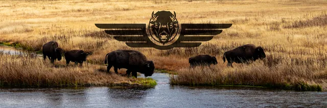 Bison Media Co.