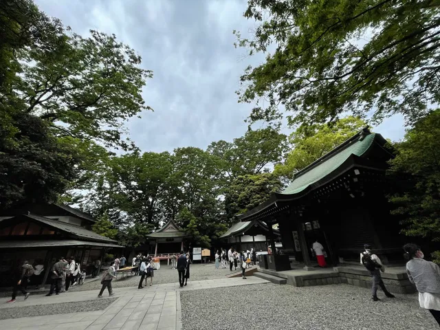 Kawagoe Hikawa Shrine Grand Torii