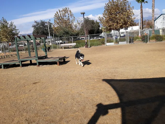 Schimmel Dog Park