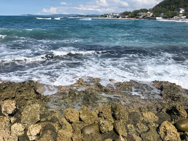 Surfing Marker La Union