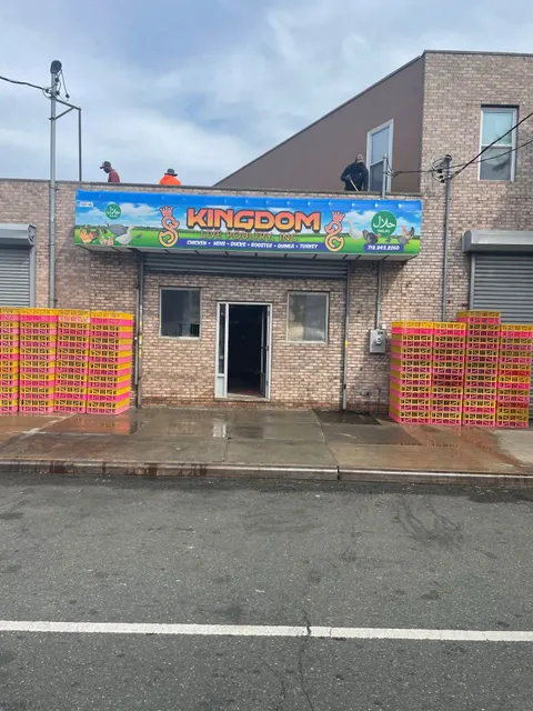 KINGDOM LIVE POULTRY (حلال)(HALAL)