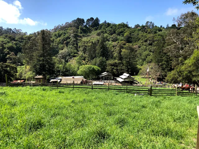 Tilden Nature Area