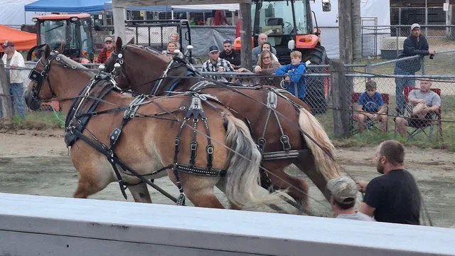Blue Hill Fairgrounds