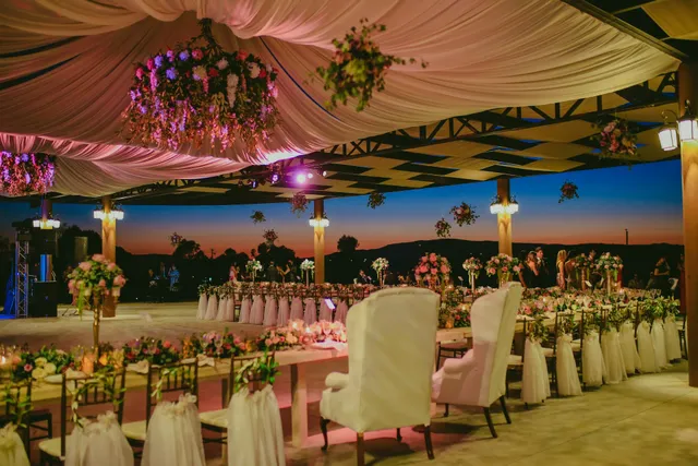 La Toscana Del Valle Viñedos