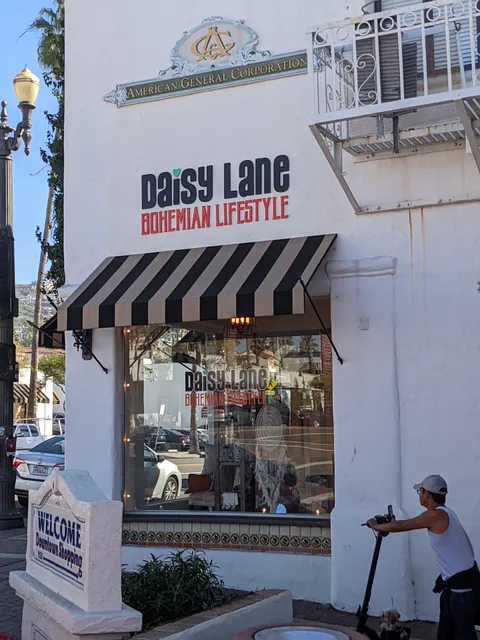 Daisy Lane