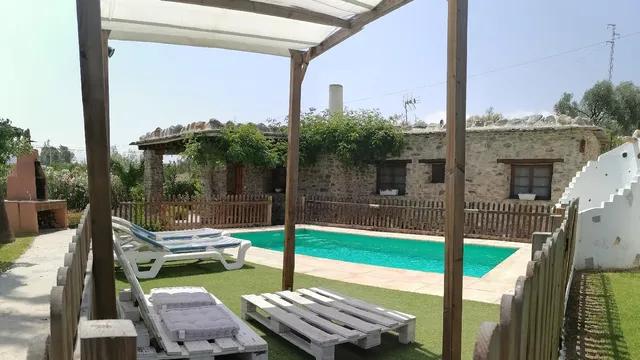 Palmeras de la Trocha