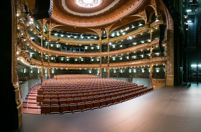 Teatro Campos Elíseos Antzokia