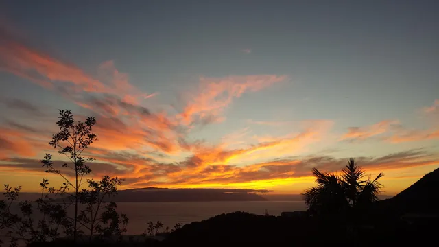 Finca Los Llanitos I