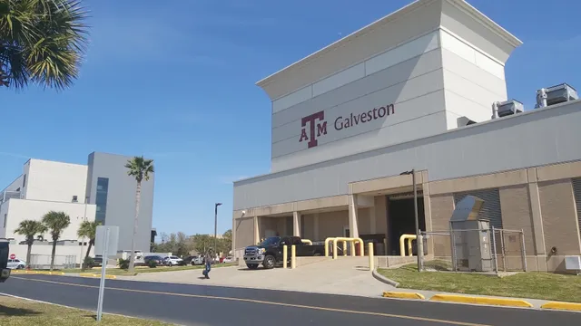 Texas A&M University at Galveston