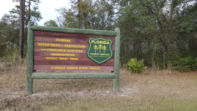 Etoniah Creek State Forest