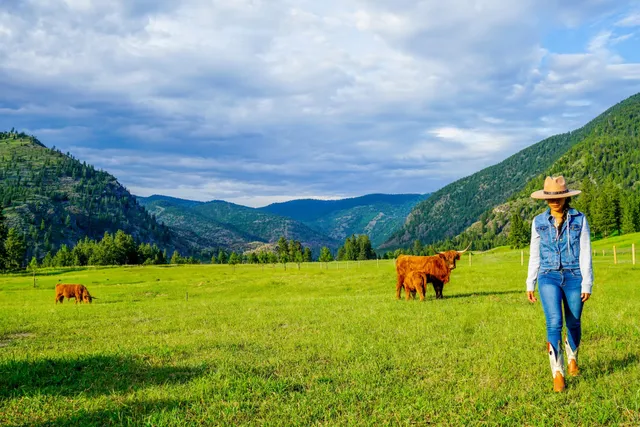 Alberton Orchards Guest Ranch