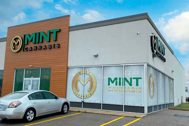 Mint Cannabis