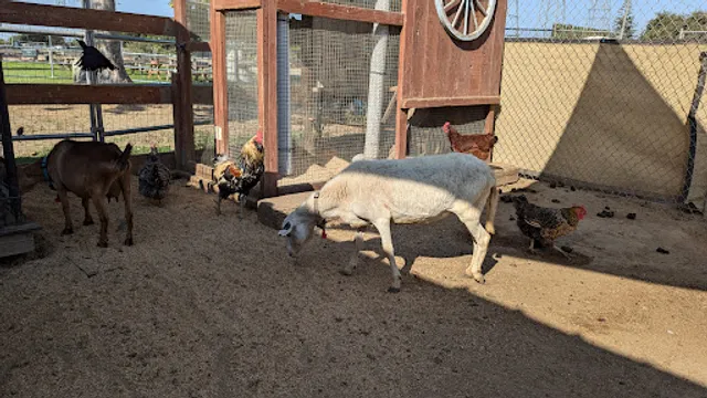Barnyard Buddies