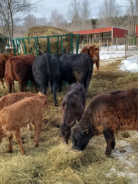 3rd Day Farmer’s Market and Store